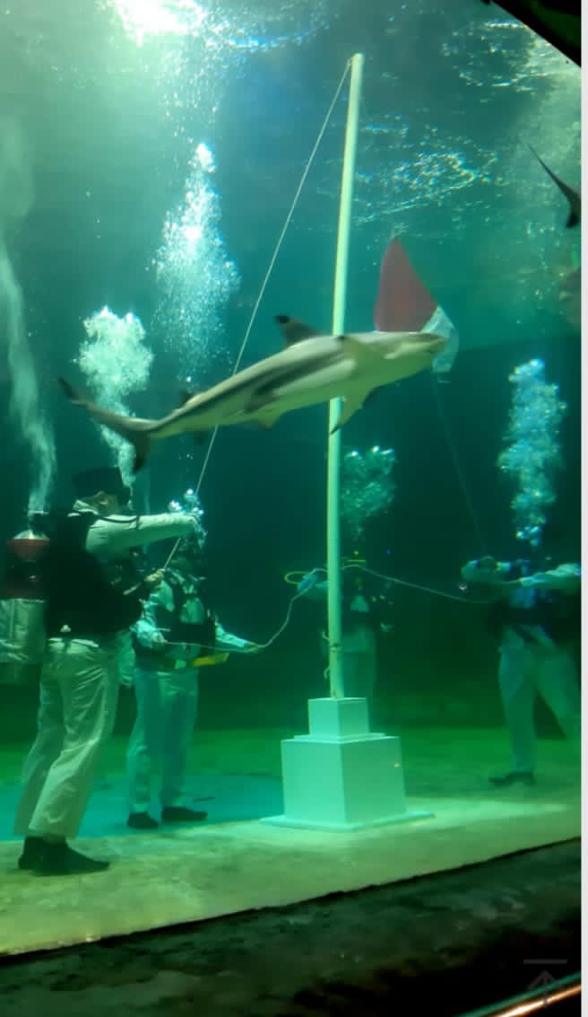 Ancol Siap Ramaikan Perayaan HUT RI Ke-80 Dengan “Merdekaria-Ancol Beach Fest Dan Culture Wave