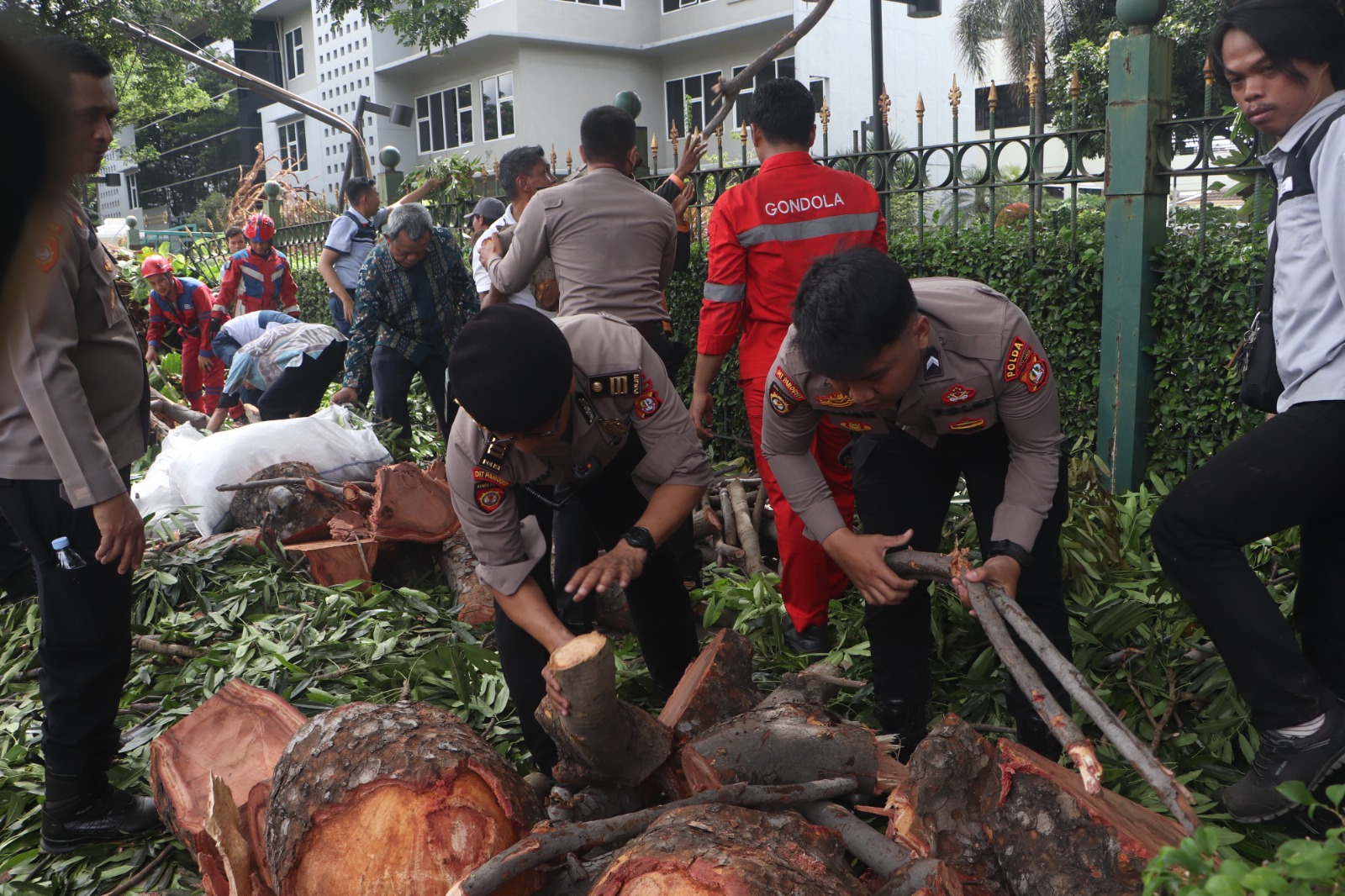 Ditpamobvit Polda Metro Jaya Gerak Cepat Evakuasi Pohon Tumbang Dekat Stasiun MRT Jakarta