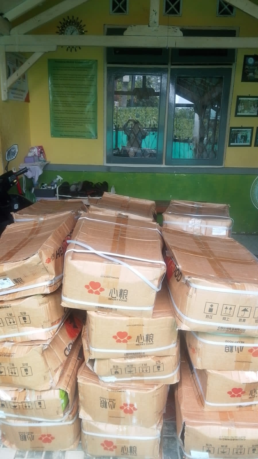 Karenstar Menyumbang Puluhan kardus Makanan kucing ke Gizmo rescue