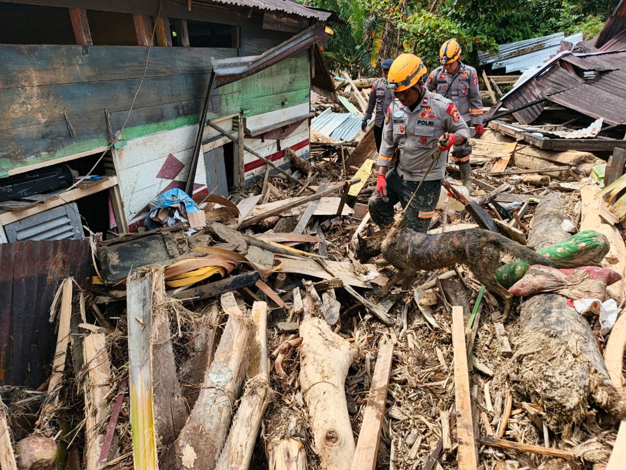 Lagi!!! Aksi Heroik Anjing Pelacak K-9 Korsabhara Baharkam Polri dan Polda Sumut, Berhasil Temukan Jenazah Wanita