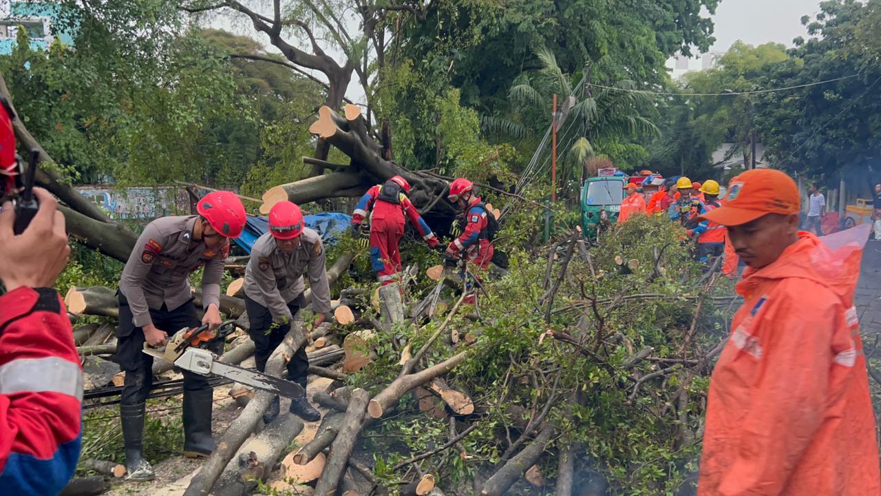 Tim SAR Ditsamapta Patroli Jaga Jakarta Tangani Pohon Tumbang di Jakpus