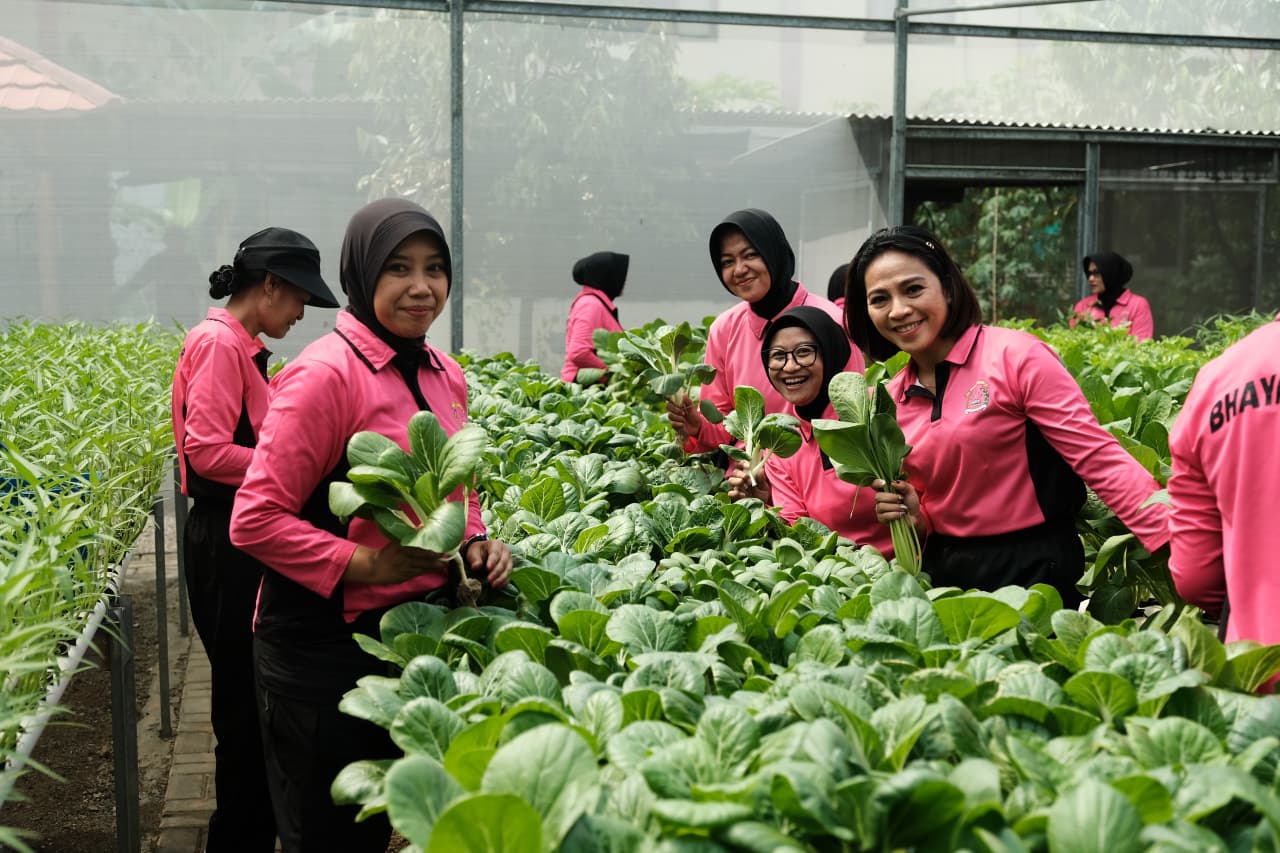 Dukung Ketahanan Pangan, Bhayangkari Gabungan 06 Korps Brimob Polri Gelar Panen di P2L