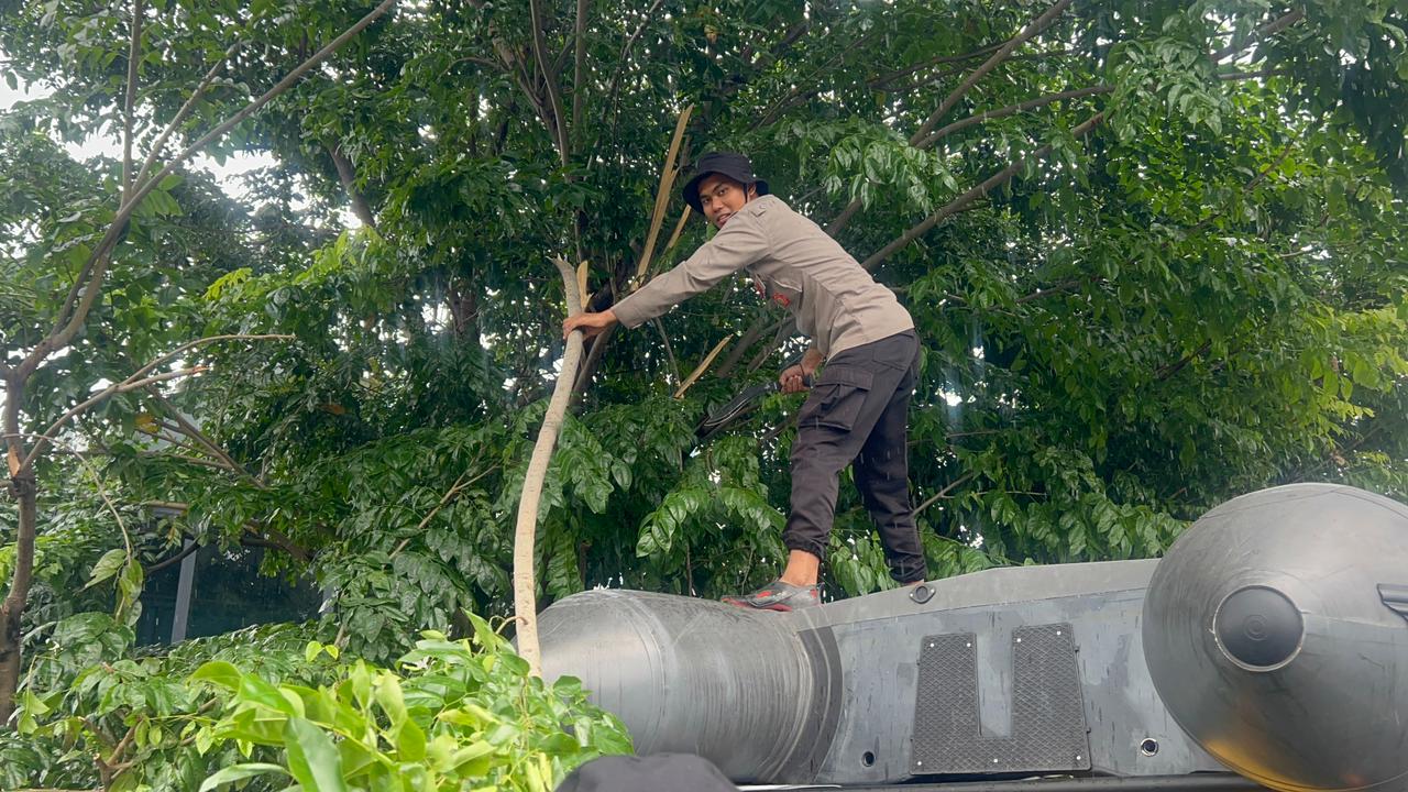 Pammat Subdit Gasum Dit Samapta PMJ Lakukan Pemotongan Ranting Pohon di Fly Over Antasari
