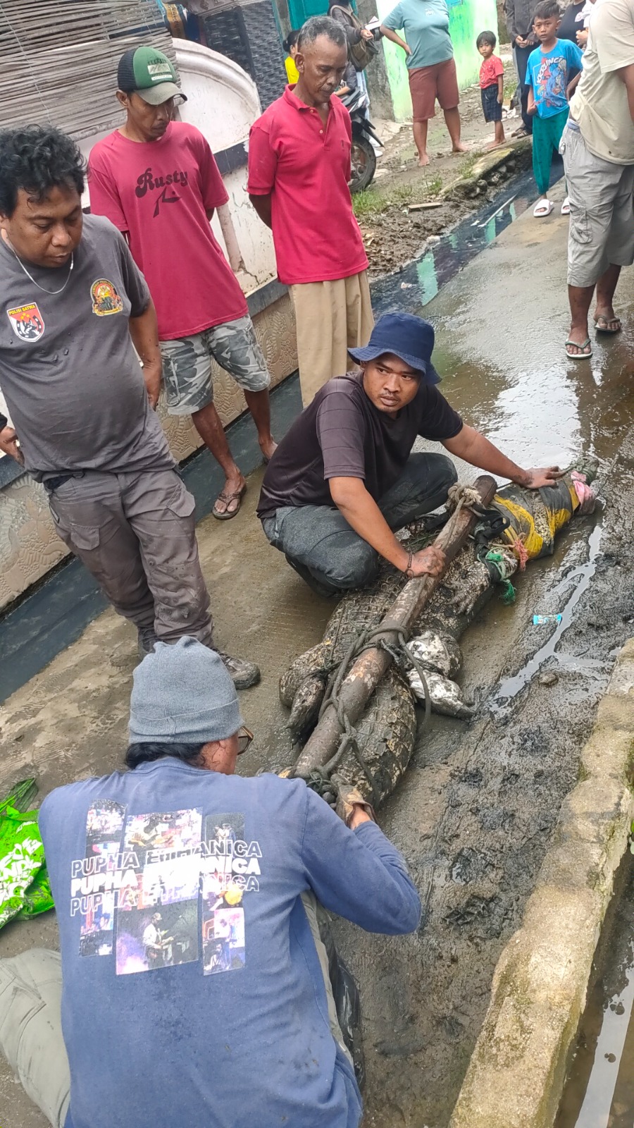 Tim Gabungan Ditpolsatwa dan Pemerhati Polisi Satwa Berhasil Evakuasi Buaya Muara