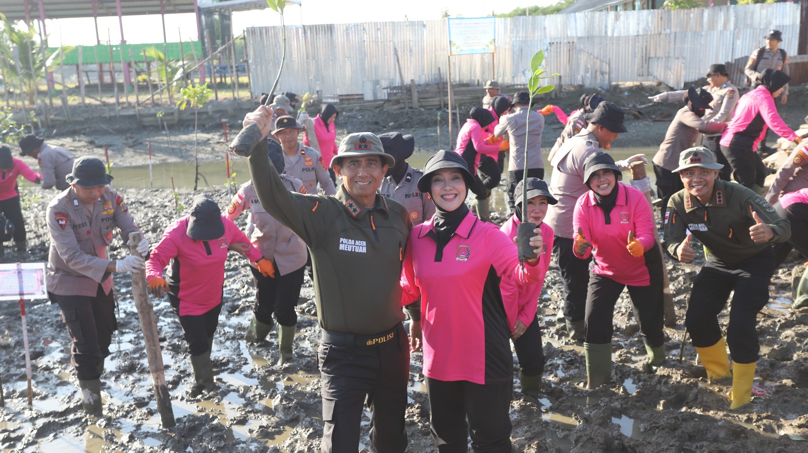 Green Policing Polda Aceh, Tanam 10 Ribu Mangrove untuk Perkuat Ketahanan Ekologi dan Ekonomi Desa Pesisir
