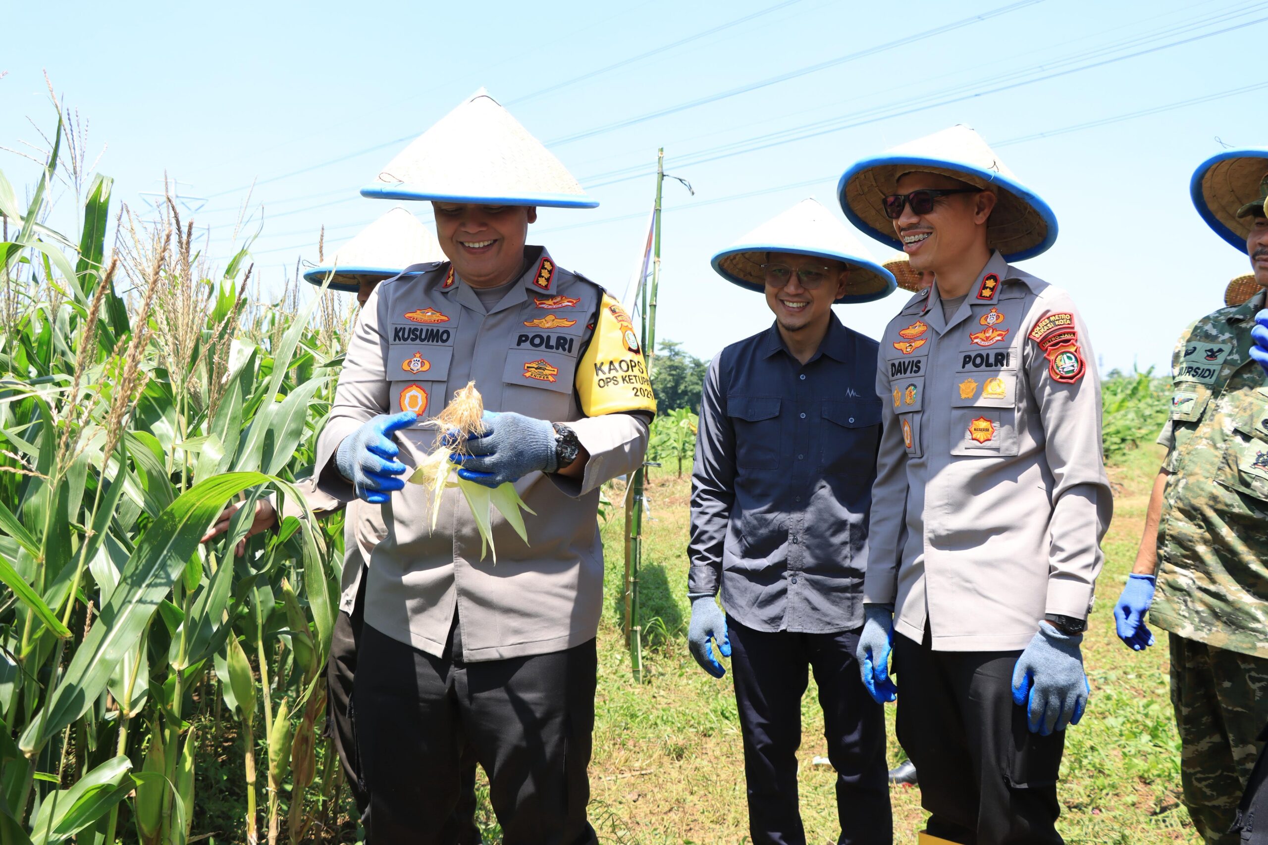 Kapolres Bekasi Kota Pimpin Panen Raya Jagung di Jatiasih