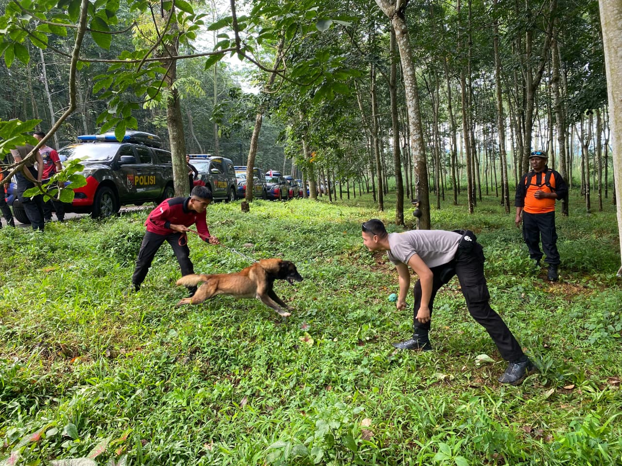 K9 Polda Jateng Asah Kemampuan di Salatiga: Deteksi Jenazah Makin Akurat dan Cepat