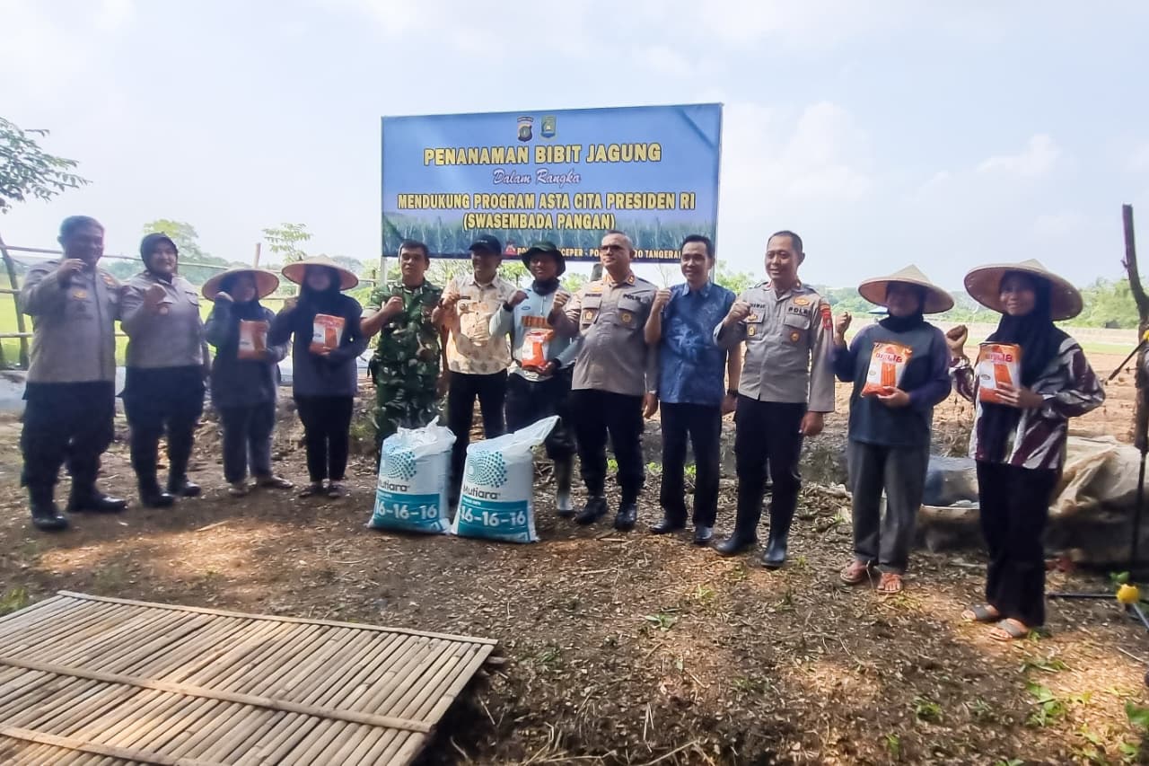 Sinergi Polisi Dan Warga Wujudkan Ketahanan Pangan, Jagung Pipil Ditanam Di Tengah Kota Tangerang