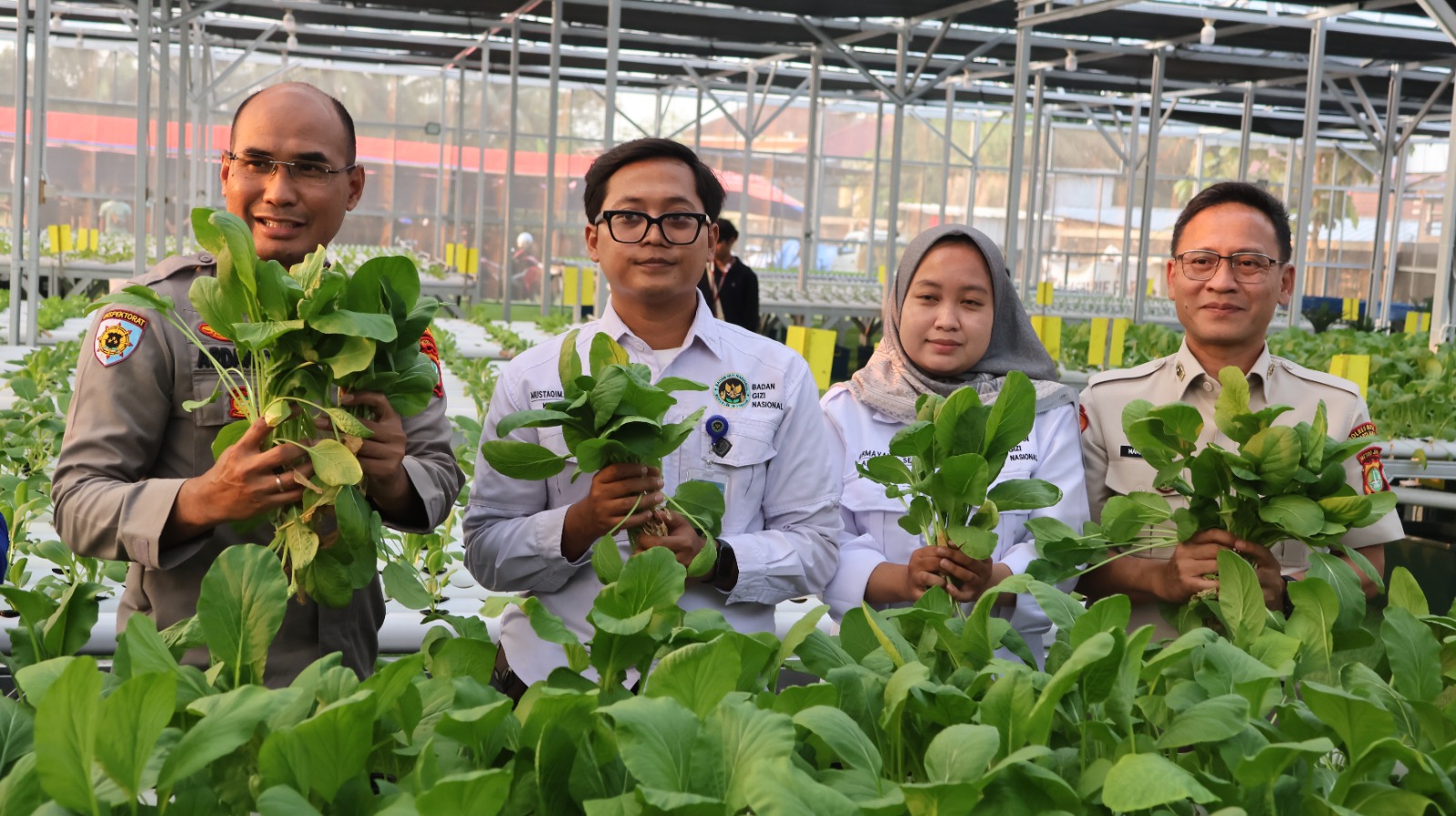 Greenhouse SPPG Palmerah Panen Sawi dan Nila untuk Menu Bergizi 2.529 Penerima Manfaat