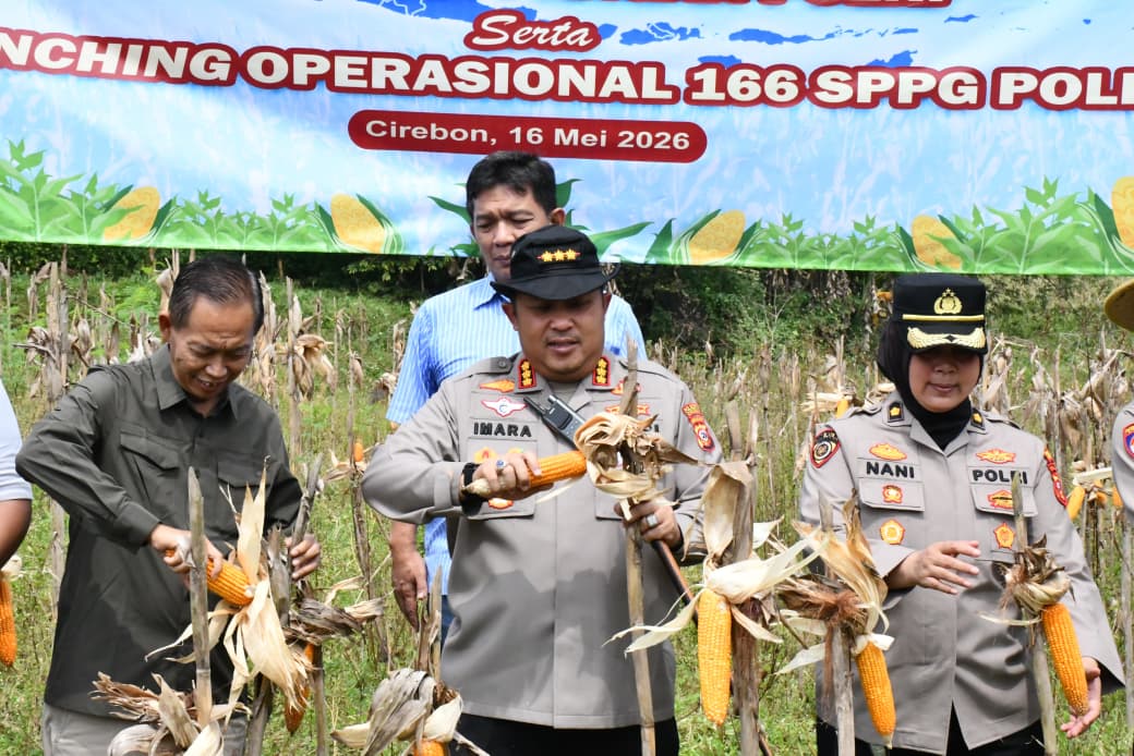 Sinergi Wujudkan Ketahanan Pangan, Polresta Cirebon Ikuti Panen Raya Jagung Serentak Bersama Presiden RI dan Kapolri
