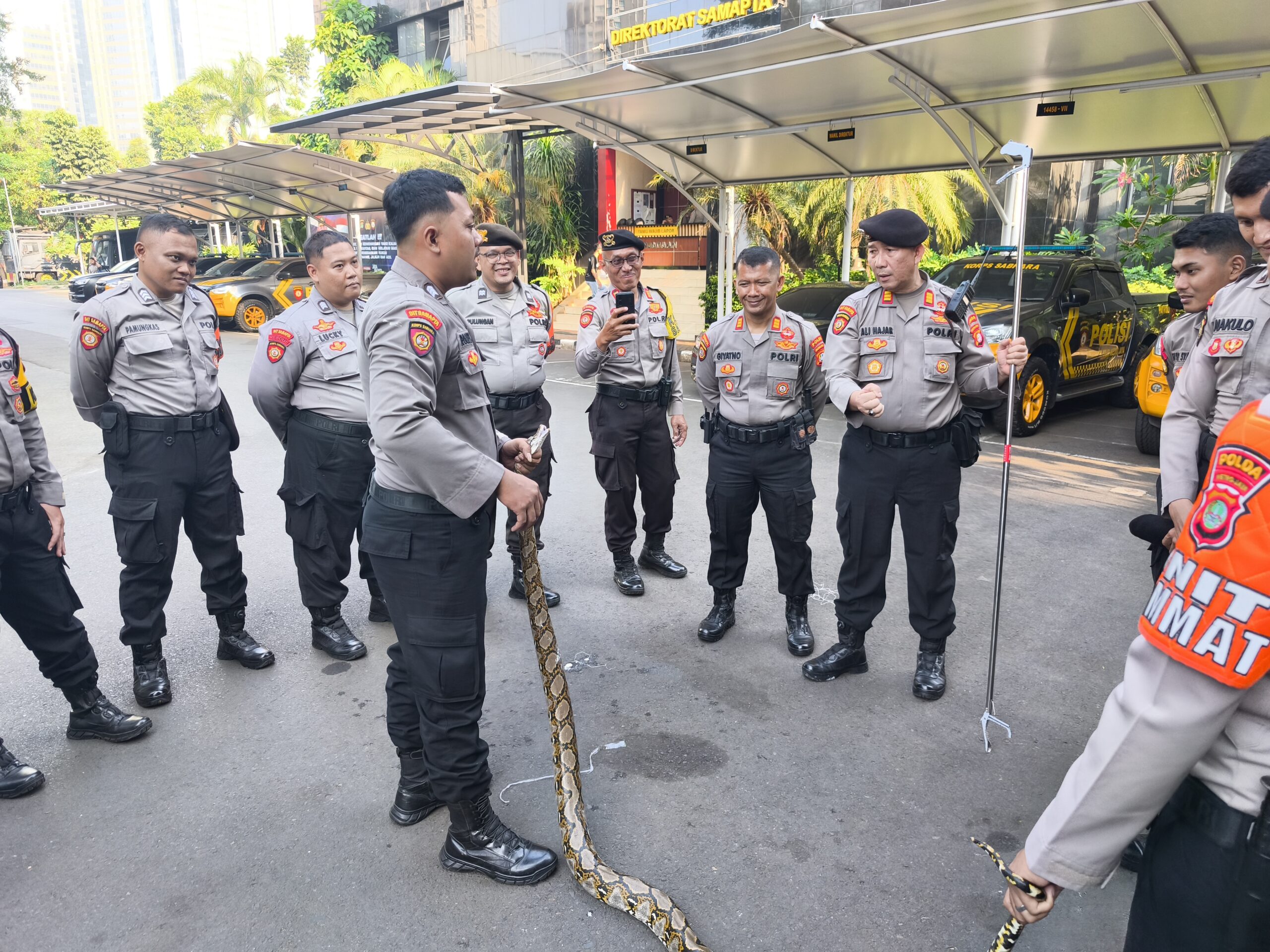 PERSONEL DITSAMAPTA PMJ ASAH KEMAMPUAN PENANGANAN ULAR, TINGKATKAN KESIAPSIAGAAN HADAPI PELAYANAN TERHADAP MASYARAKAT