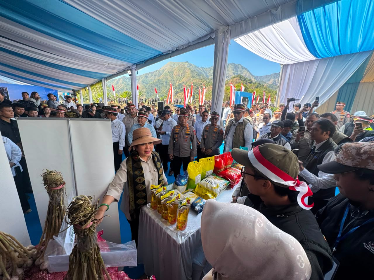 Ketua Komisi IV DPR RI Dorong Penguatan Produksi Bawang Putih untuk Kurangi Impor