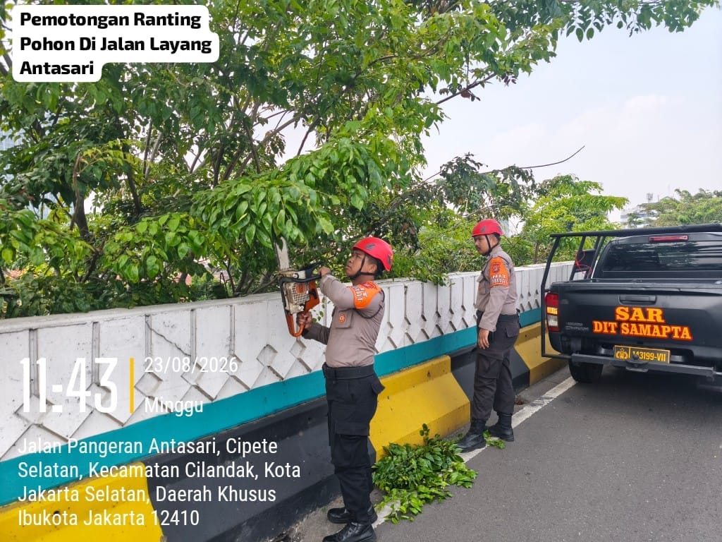 Personel Pammat Pangkas Ranting Pohon Menjulang ke Badan Jalan di Jalan Layang Antasari