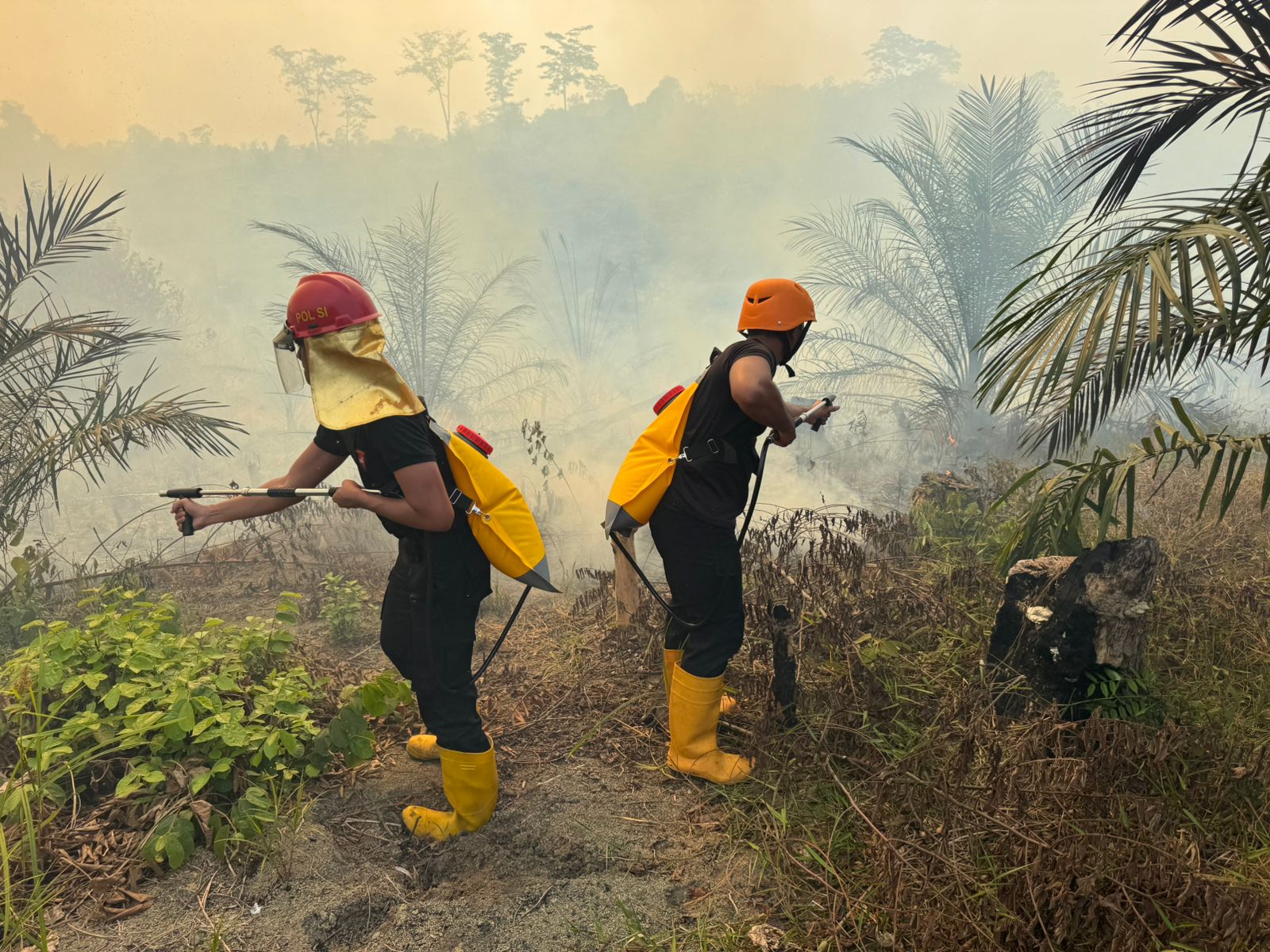 Brimob Polda Jambi Gerak Cepat Padamkan Karhutla di Kabupaten Tebo