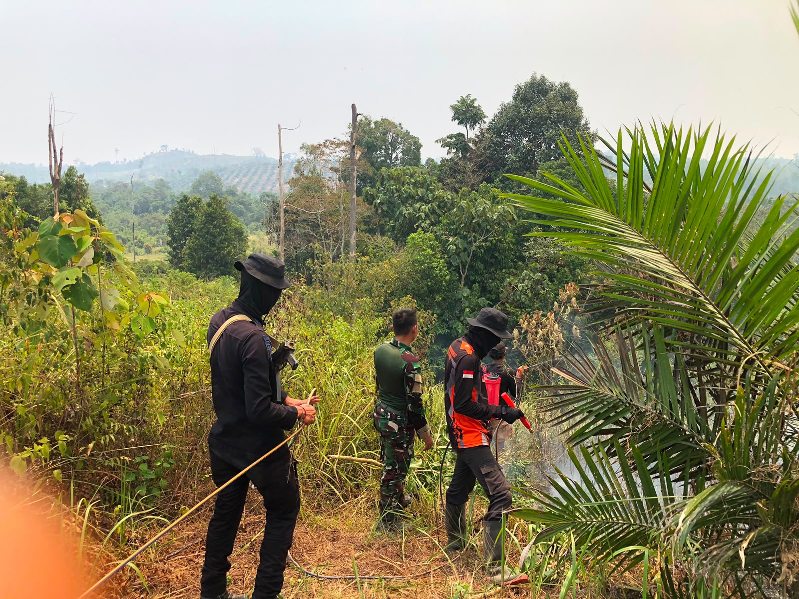Pantau Karhutla, Satbrimob Polda Jambi Bersama Instansi Terkait Patroli Kawasan Konservasi Gajah di Tebo