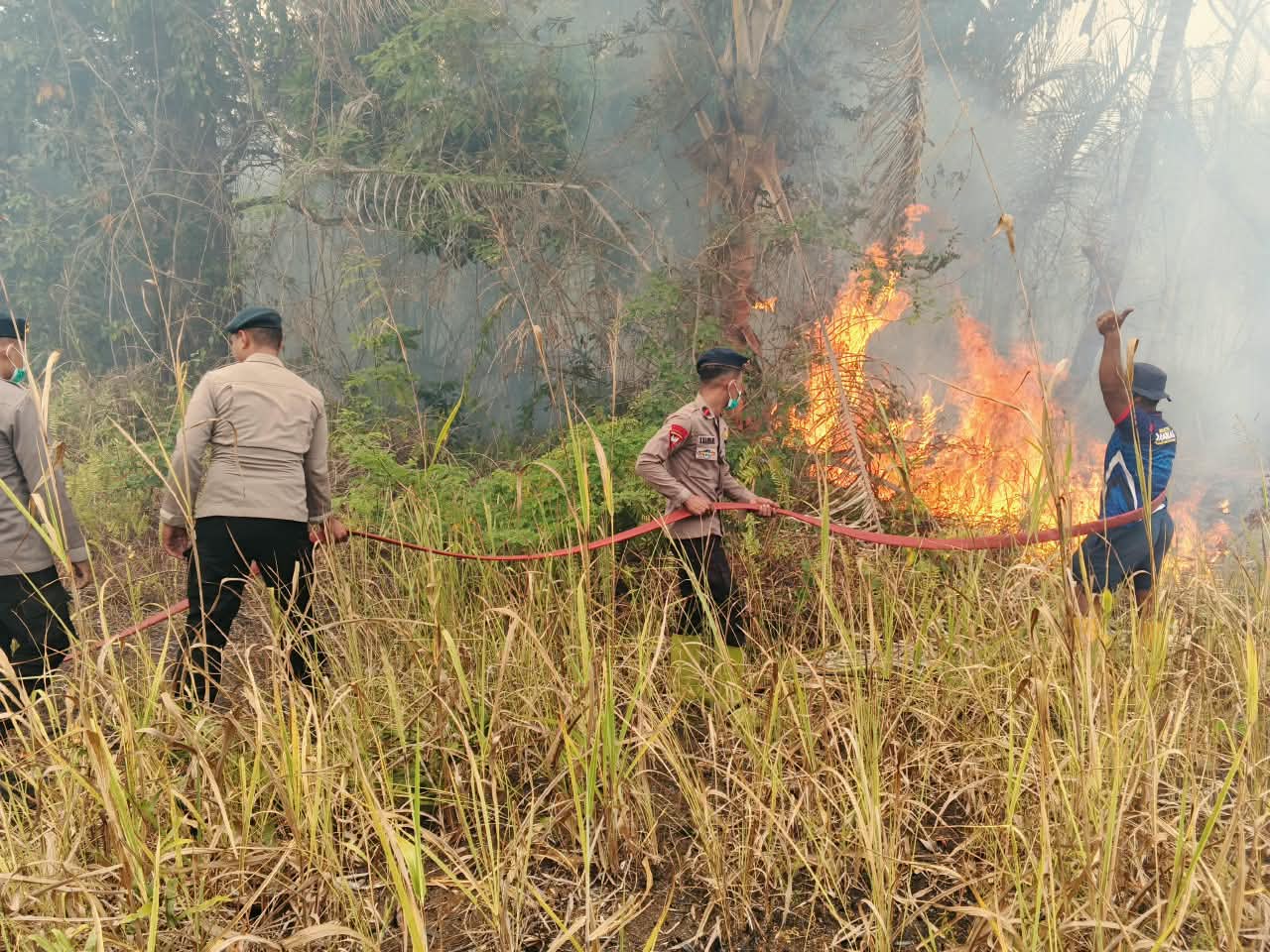 Brimob Malut Respons Cepat, Bersinergi Padamkan Kebakaran Lahan di Desa Tewil