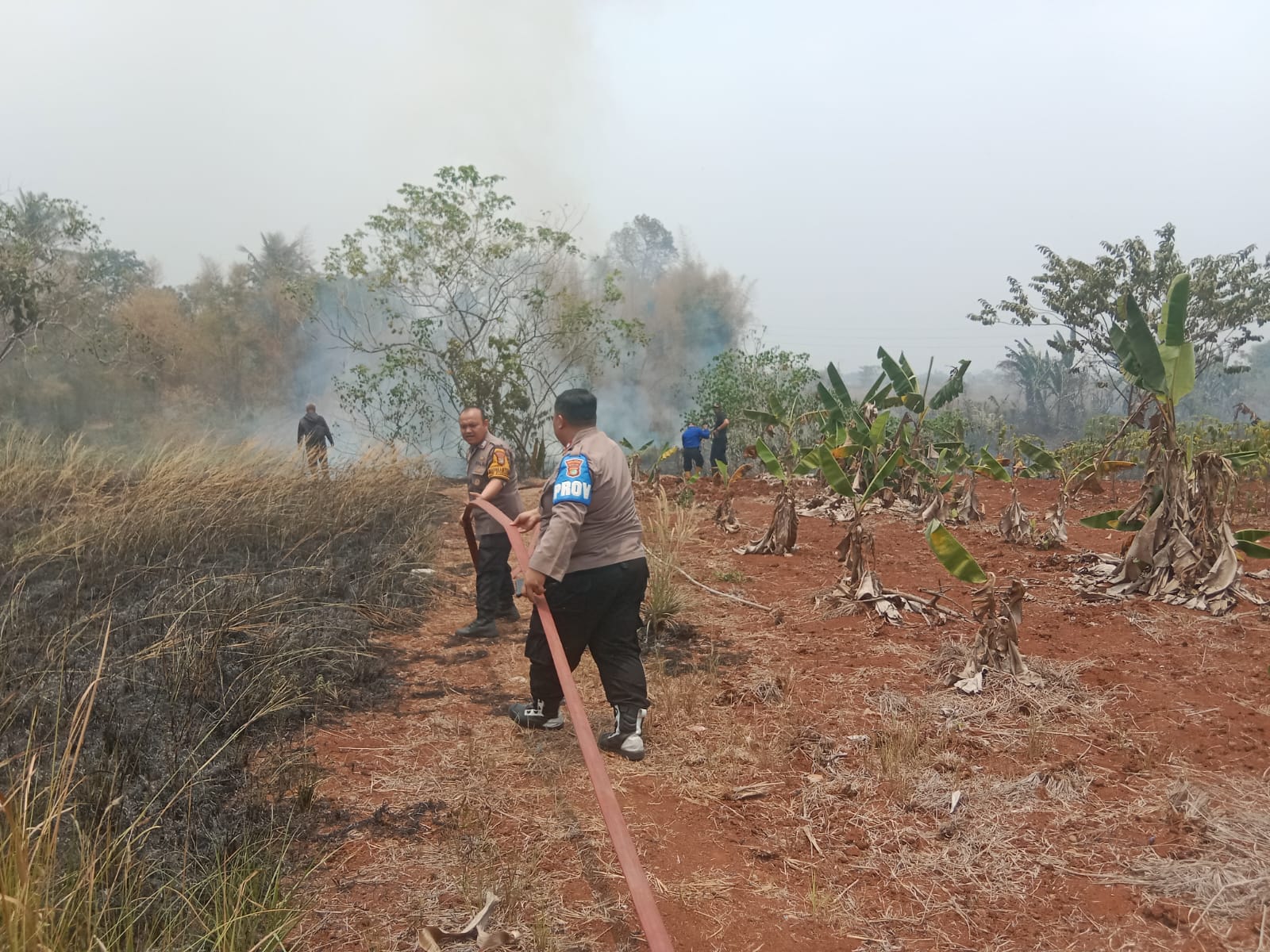 Polsek Pagedangan Cek Lokasi Kebakaran Lahan Kosong di Situgadung, Api Berhasil Dipadamkan