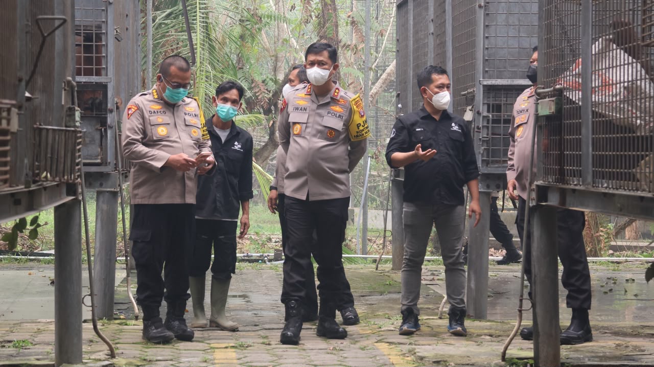 Polri: Perkuat Patroli Hutan Terpadu, Rescue Satwa Terdampak dan Pengamanan agar Orang Utan Terlindungi