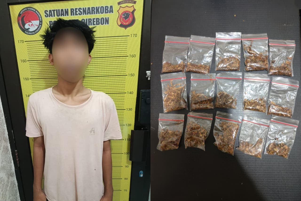 Polresta Cirebon Ungkap Dugaan Peredaran Tembakau Sintetis di Palimanan, 15 Paket Seberat 10,10 Gram Diamankan